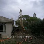 IMG-20200719-WA0015