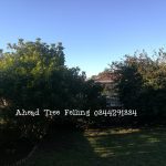 IMG-20200727-WA0004
